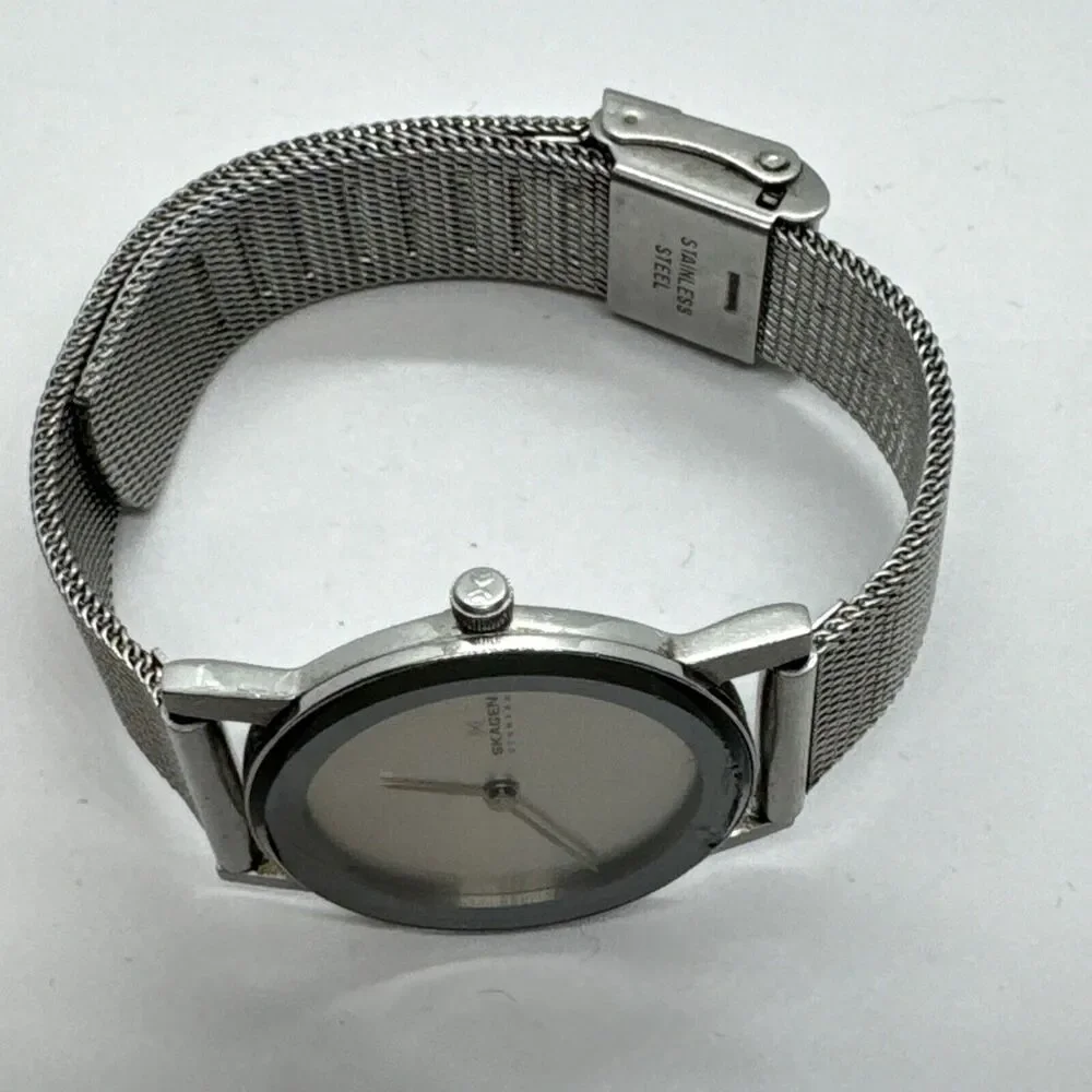 Skagen 39SSS Women's Silver Stainless Steel Mesh Analog Dial Wrist Watch JNA571